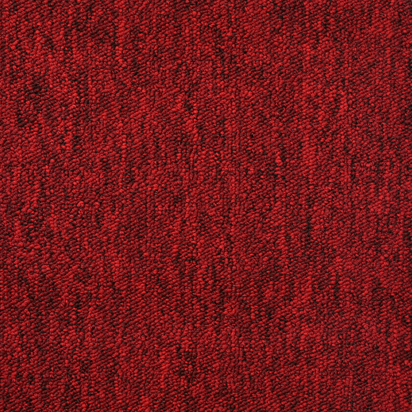 Thảm cuộn BD6 - Ảnh 5